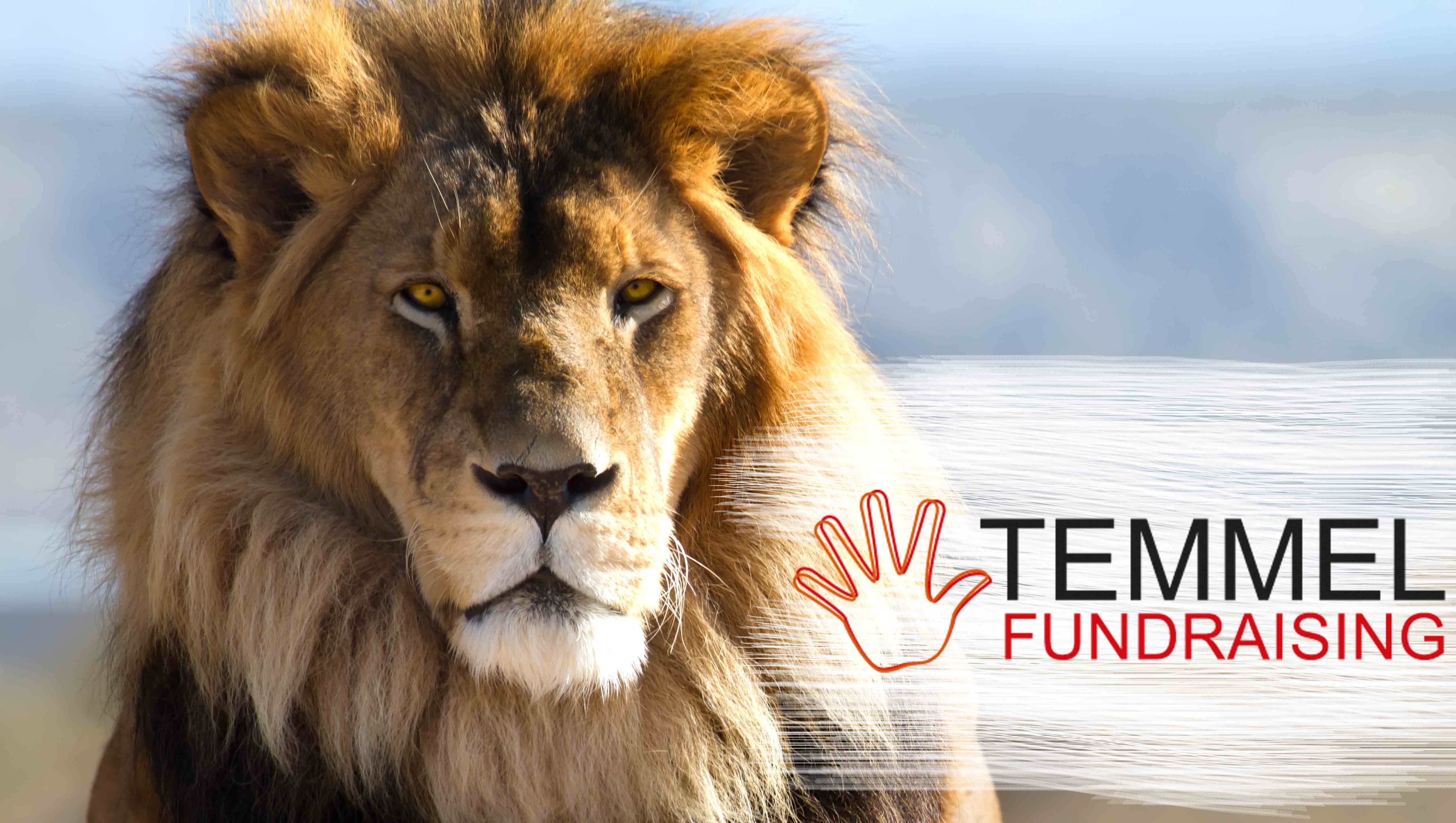 Temmel Fundraising Logo